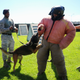 Illustration for article titled What It’s Like To Be Attacked By An Attack Dog